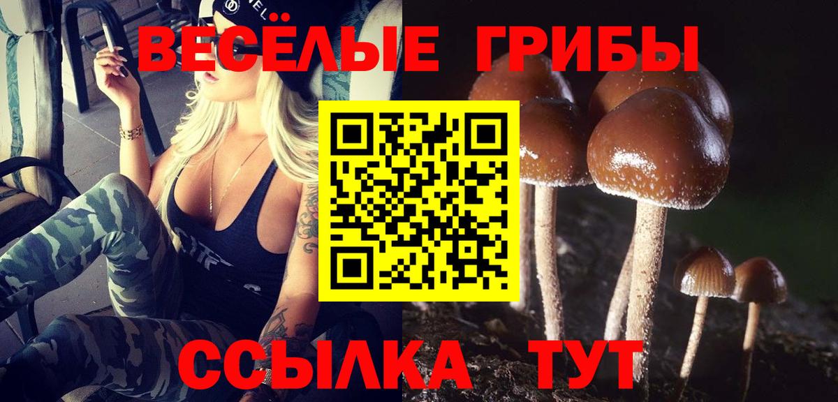 Псилоцибиновые грибы мухоморы Южноуральск